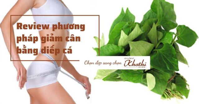giảm cân bằng rau diếp cá