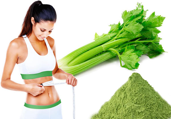 Bột cần tây là phương pháp giảm cân an toàn và tự nhiên.